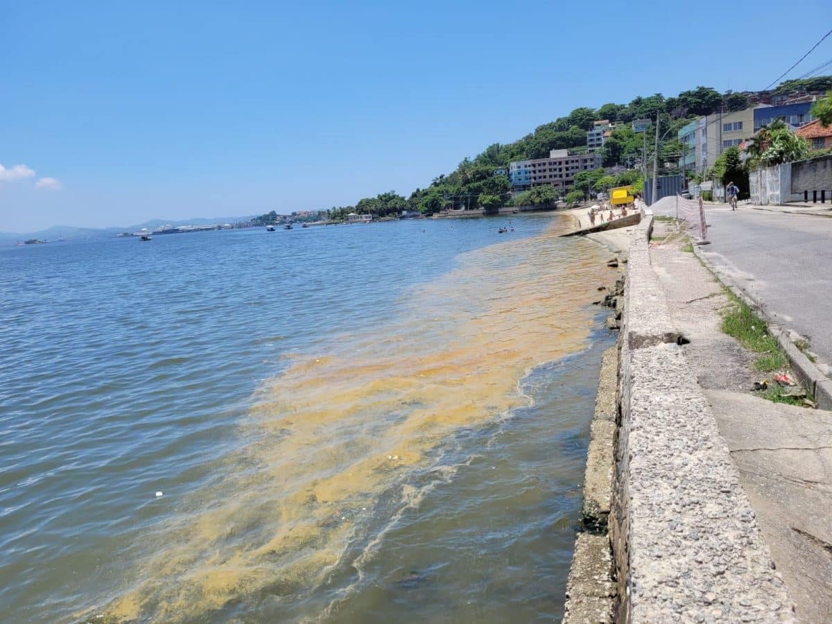 Praia Da Bandeira Na Ilha Do Governador Amanhece Enorme Mancha De