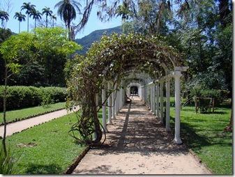 Jardim Botânico do Rio de Janeiro 3 por Rodrigo Soldon