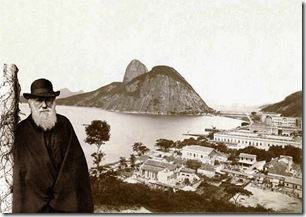 Darwin no Rio de Janeiro