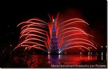 More redcurrant fireworks por Roberto