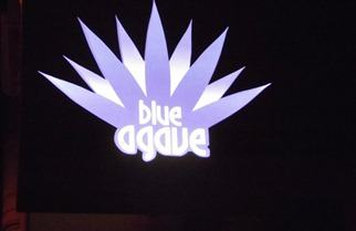 Blue Agave Copacabana
