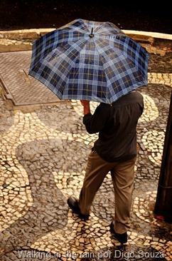 Walking in the rain por Digo Souza