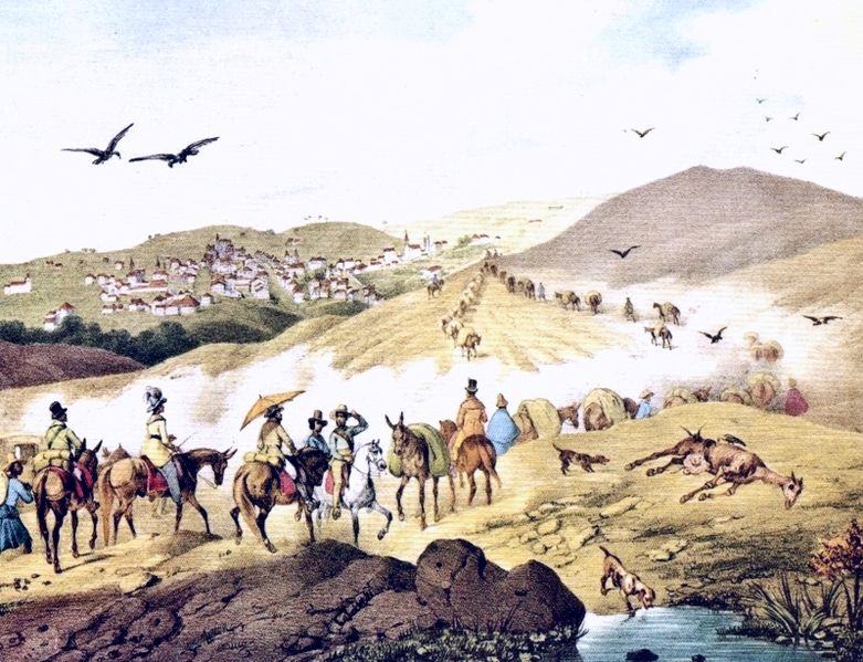 Quadro de Rugendas de 1820 mostrando visitantes indo para a Tijuca seguindo uma caravana mercante