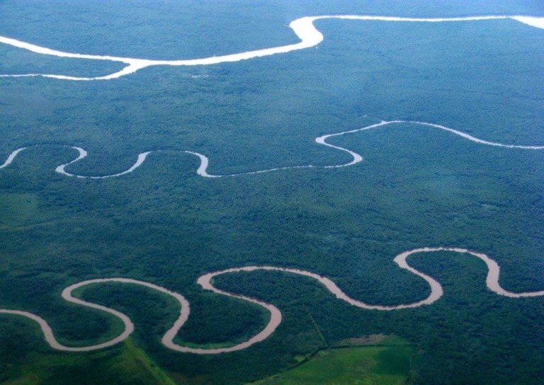 Guapimirim – O Pantanal Fluminense