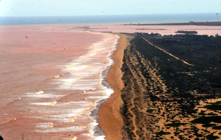 Antonio Mariano: O mar de lama carioca