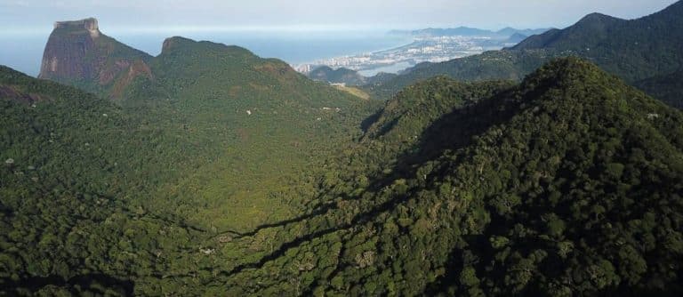 Governo do Rio destina R$ 308 milhões de ICMS Ecológico aos municípios fluminenses