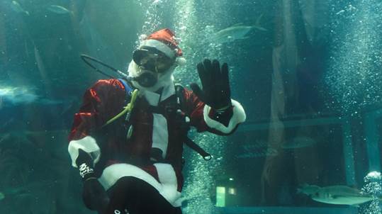 Mergulho do Papai Noel no Grande Tanque Oceânico, no AquaRio, é prorrogado até o final de dezembro