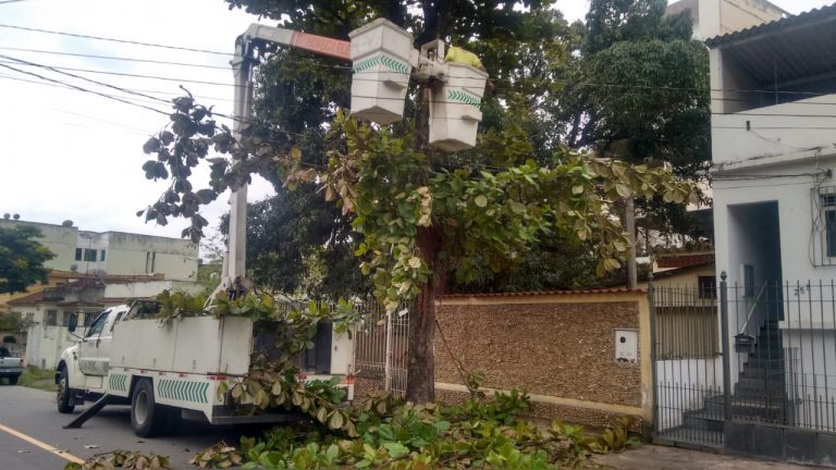 #RaizDoProblema: Ambientalistas entrarão com ação contra Light por podas de árvores