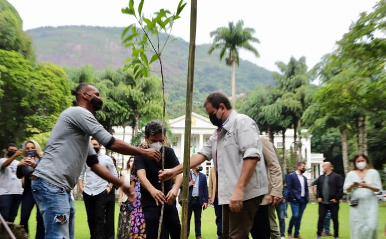 Rio ganha sua primeira Fábrica de Árvores, em Guaratiba