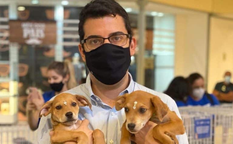 Marcelo Queiroz destaca políticas públicas de castração e bem-estar animal em podcast