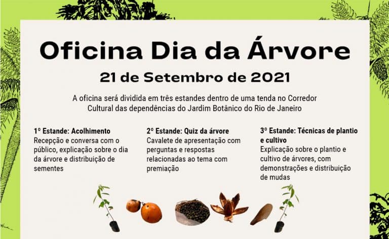 Jardim Botânico do Rio comemora Dia da Árvore com oficina aberta ao público