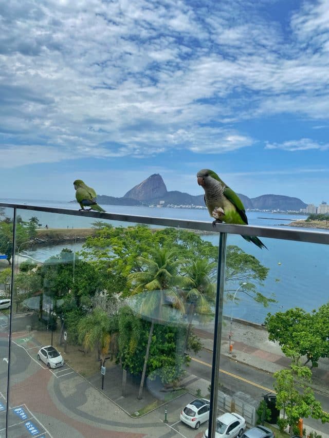 6 lugares para o café da manhã no Rio