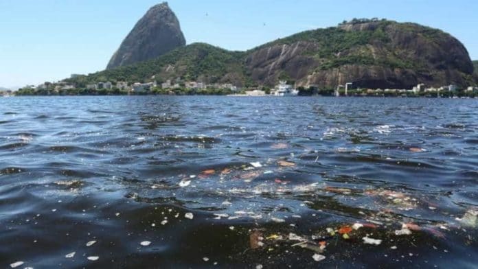 Lab Viva Água: Estão abertas as inscrições para restauração ecológica da Baía de Guanabara