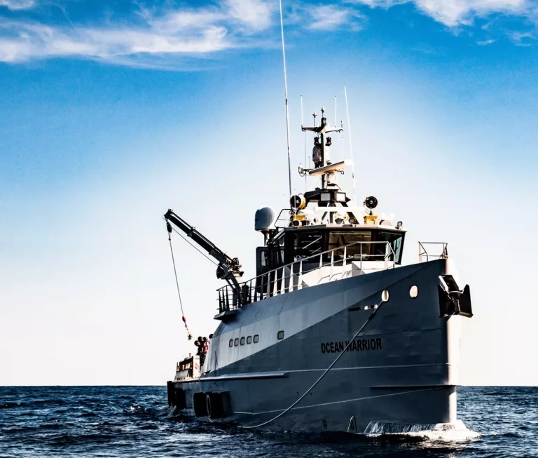 O navio de ONG internacional em defesa pela conservação marinha chegou ao Rio