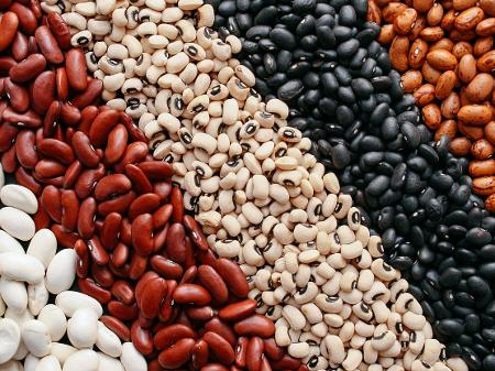 Fernanda Dias: As melhores fontes de proteína vegetal