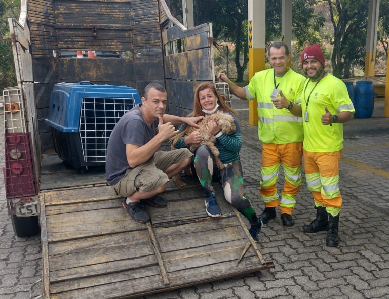 Equipe de inspeção da CCR RioSP resgata cachorro que havia se perdido na rodovia e devolve aos donos