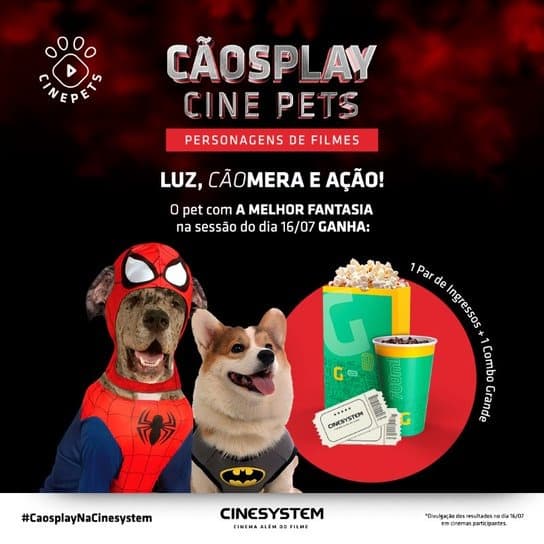 Cinemas de Shoppings do Rio terão competição de fantasias para cachorros neste sábado: ‘Cãosplay’
