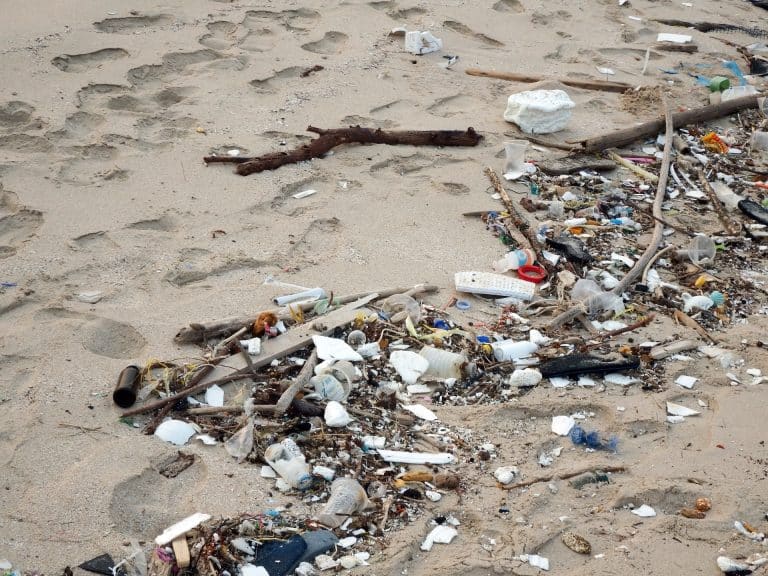 Rio tem mais de 800 toneladas de materiais recicláveis coletados nas praias no 1º semestre de 2022