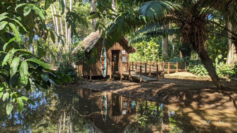 Semana da Amazônia: Jardim Botânico do Rio promove exposição cultural sobre o bioma