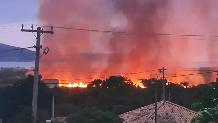 Após 3 dias, incêndio em área de preservação ambiental em Cabo Frio é controlado