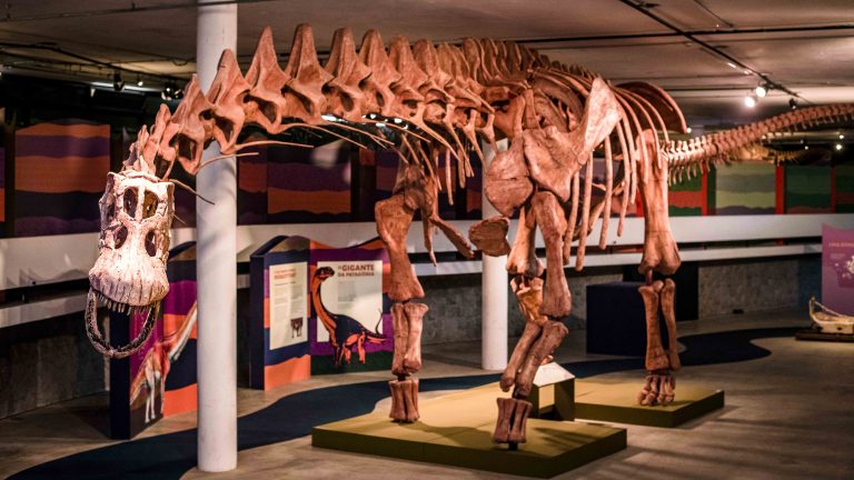 Exposição leva esqueleto do maior dinossauro que já existiu na Terra para a Barra da Tijuca