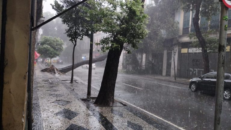 Chuva provoca alagamentos e queda de árvoves no Centro do Rio