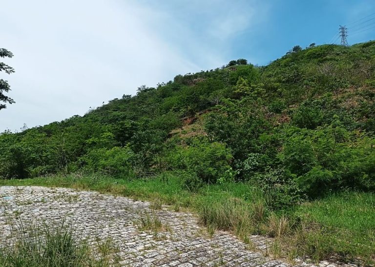 Associação de Pais - Quebra-cabeças e diversão para o Infantil 5 - Notícias  - Colégio do Bosque Mananciais